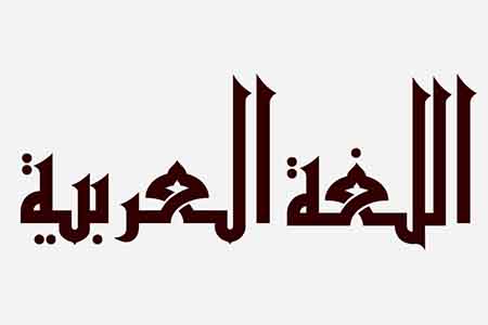 Professional Arabic Language